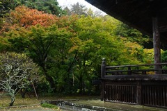 141126̯�ܻ�����