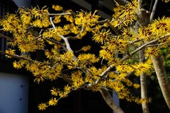 130228Ĺë���ߥĥޥ�