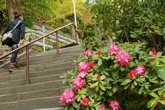 100414Ĺë�����㥯�ʥ�