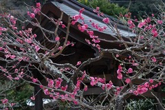 140211³¤Â¢»û¥¦¥á
