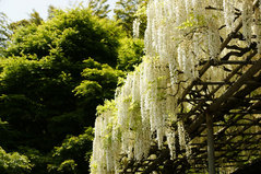 080507�Ѿ��������ե�