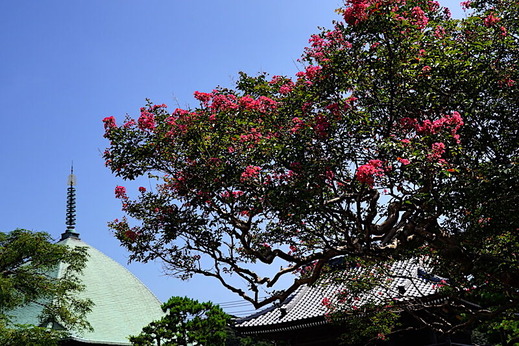 200825�ܳл����륹�٥�