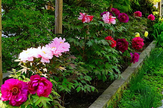 220423�߳л��ܥ���1