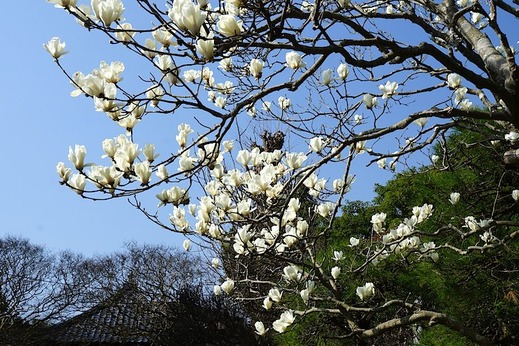 150322�������ϥ��⥯���