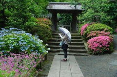 120612¾ôÃÒ»û¥µ¥Ä¥2