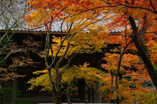 121217̯�ܻ�����3