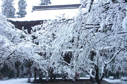 120229�߳л���2