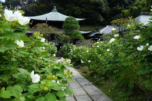 130929�������ե襦