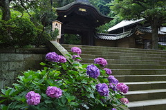 170626�߳л���������3