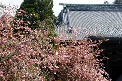 090404̯ËÜ»û¥«¥¤¥É¥¦