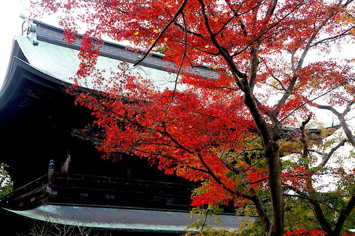 221203�߳л�����4