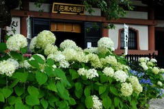120706Ĺë»û¥¢¥Ê¥Ù¥ë