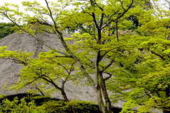 160411�߳л�����2