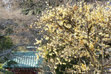080119¸÷§»û¥í¥¦¥Ð¥¤