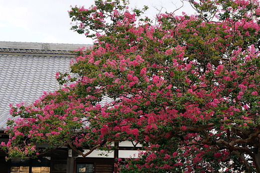 170809�ܶ������륹�٥�