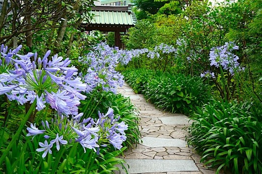 240625�繪�������ѥ󥵥�