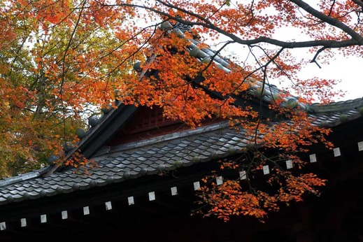 131208̯�ܻ�����5