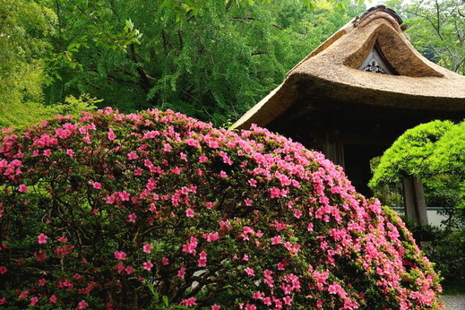 140617�����ĥĥ�