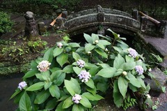 150910���һ����ޥ�������