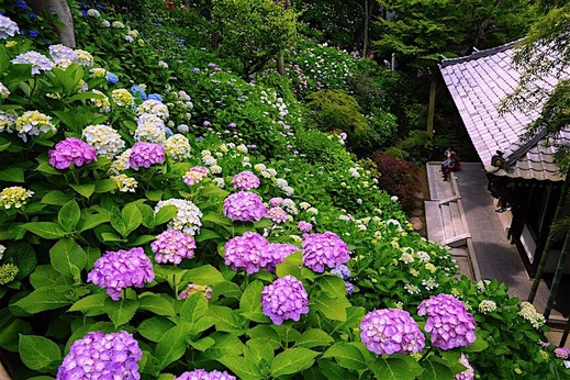 160606Ĺë����������4