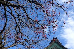 160208Êõ²ü»û¥¦¥á1