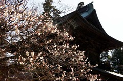 110305�߳л�����1