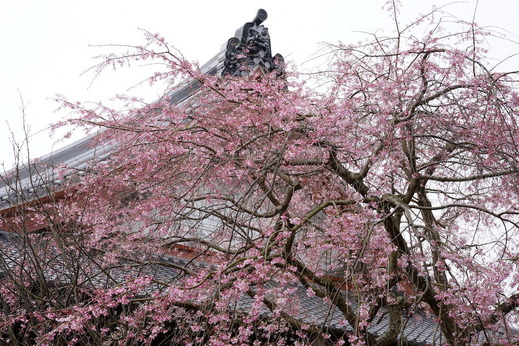 170329�ܳл������쥶����