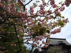 100421��Ĺ���䥨������