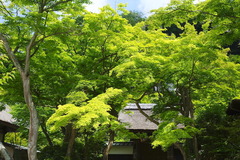 170528�߳л�����2