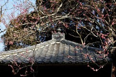 110129����������