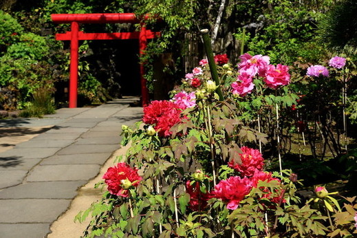 160418Ĺë���ܥ���1