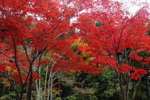 151207��¢������3