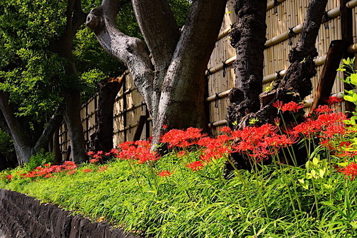 190930�ᲬȬȨ�ܥҥ���Х�