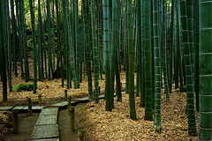 181203��������