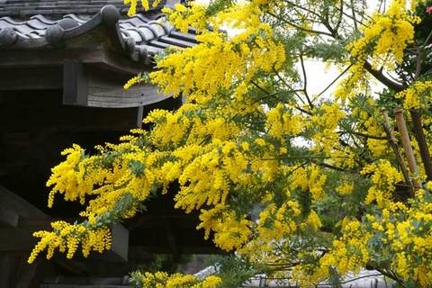 100303������ߥ⥶