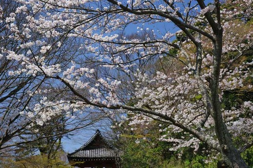 120405̯�ܻ�������2