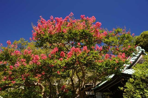 120821��¢�����륹�٥�1