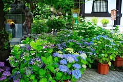 150604Ĺë����������3