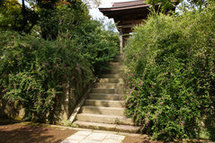 080910��¢���ϥ�