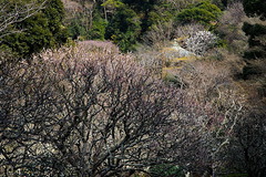 170301����������1