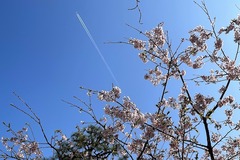 230307³ùÁÒ»Ô³¹¡¢Èô¹Ôµ¡±À