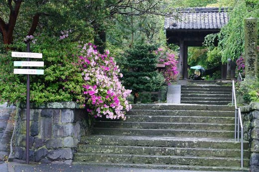 120503�¹������ĥĥ�1