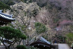 140321±ß³Ð»û¥Ï¥¯¥â¥¯¥ì¥ó