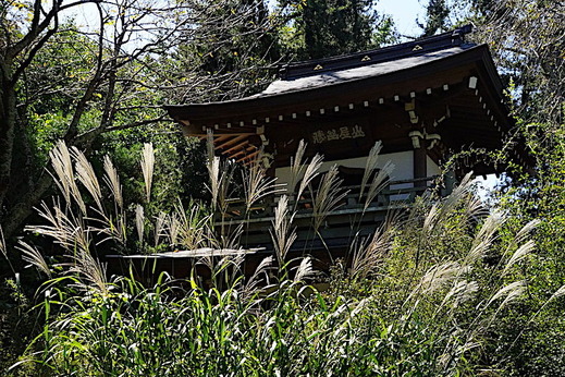 181002���һ�������