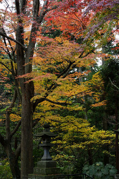 081220̯�ܻ�����