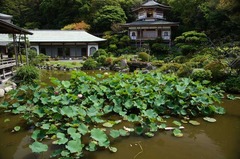 120718¸÷ÌÀ»û¥Ï¥¹