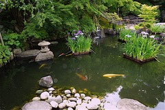 160606Ĺë��������