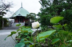 120706�ܳл��ϥ���