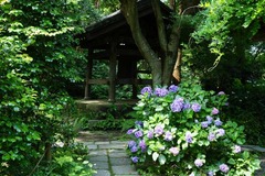 130630��������������1