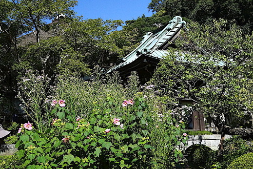 180928��¢���ե襦